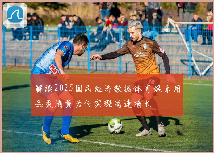 解读2025国民经济数据体育娱乐用品类消费为何实现高速增长