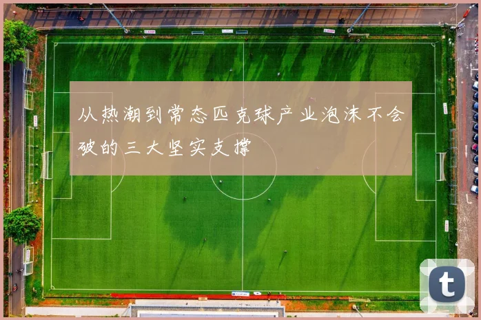 从热潮到常态匹克球产业泡沫不会破的三大坚实支撑