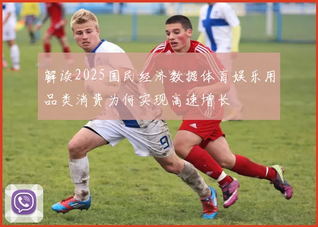 解读2025国民经济数据体育娱乐用品类消费为何实现高速增长